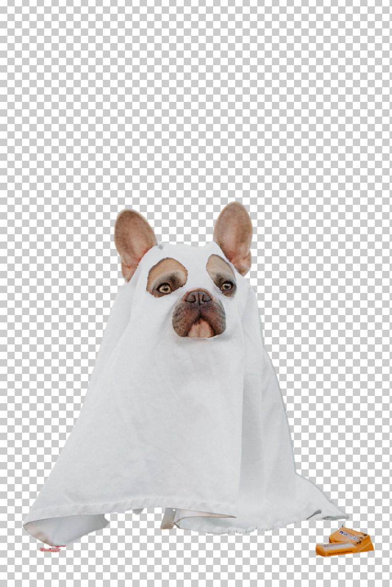 Dog Snout Groupm Textile PNG, Clipart, Biology, Breed, Dog, Groupm, Nonsporting Group Free PNG Download
