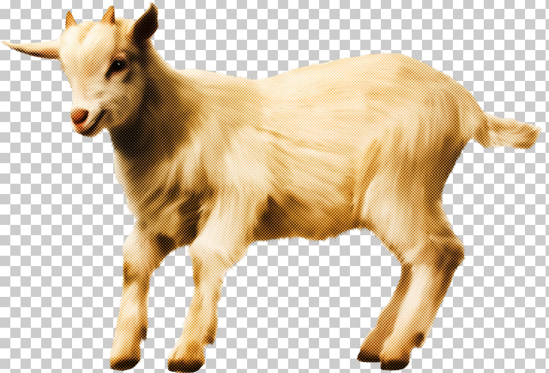 Goats Goat Cow-goat Family Bovine Livestock PNG, Clipart, Animal Figure, Bovine, Cowgoat Family, Goat, Goatantelope Free PNG Download