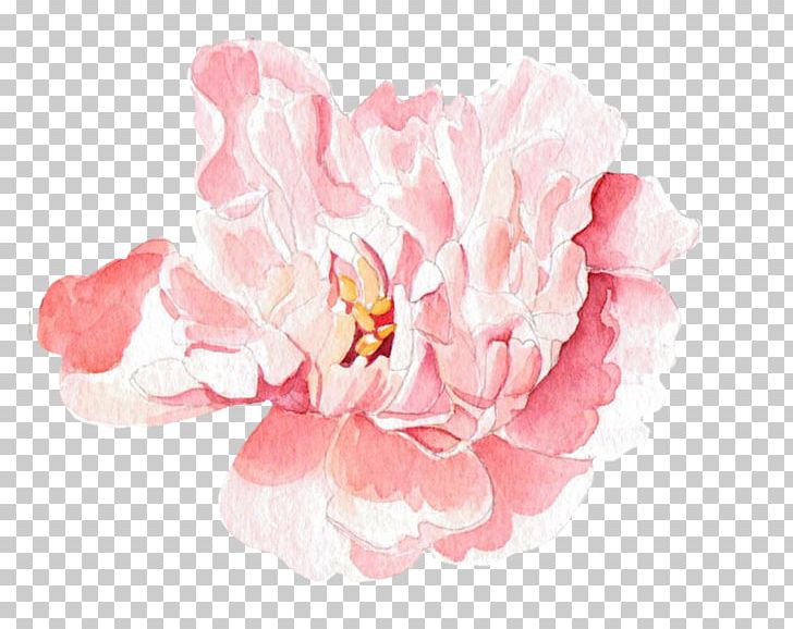 Moutan Peony Floral Design Watercolor Painting PNG, Clipart, Chinese, Chinese Rose, Cut Flowers, Download, Floristry Free PNG Download