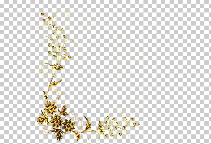 PhotoScape PNG, Clipart, Adobe Systems, Blossom, Branch, Cut Flowers, Flora Free PNG Download