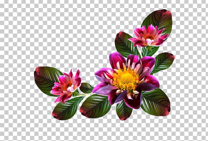 Portable Network Graphics Computer File Flower PNG, Clipart, Alstroemeriaceae, Annual Plant, Cut Flowers, Data, Desktop Wallpaper Free PNG Download