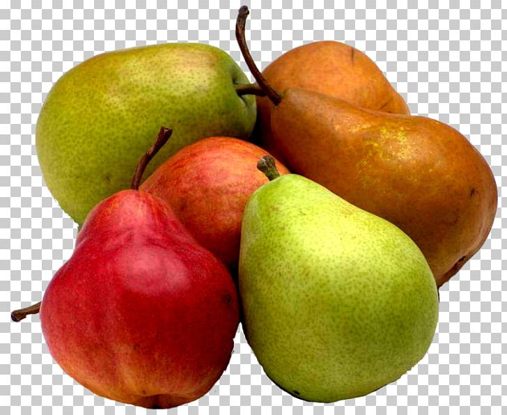 Pyrus × Bretschneideri Accessory Fruit Auglis Asian Pear PNG, Clipart, Accessory Fruit, Apple, Armut, Asian Pear, Auglis Free PNG Download