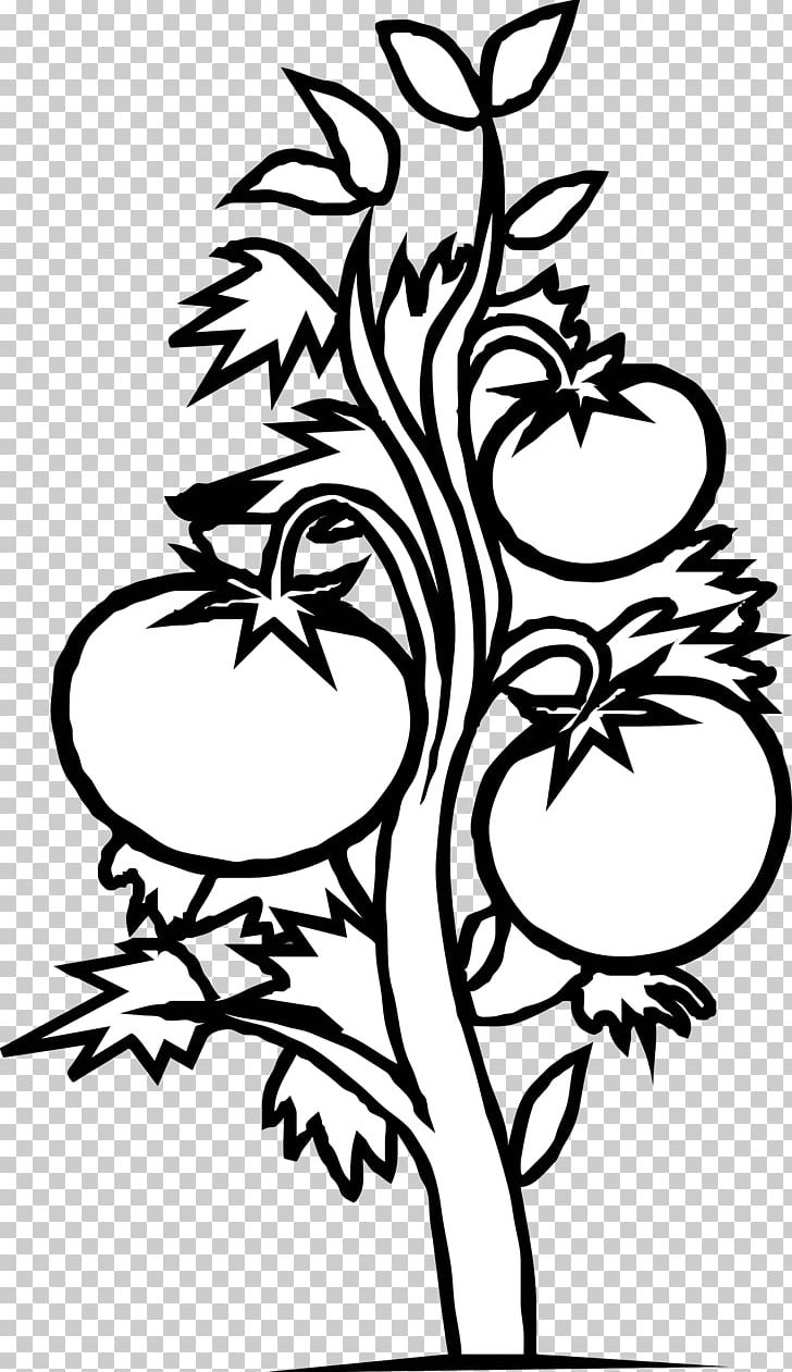 Tomato Plant Black And White Vegetable PNG, Clipart, Artwork, Bell Pepper, Black, Branch, Coloring Book Free PNG Download