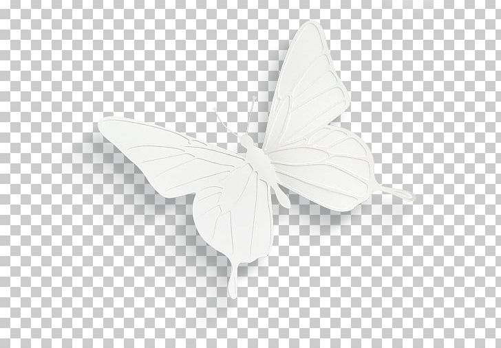 white butterflies clipart