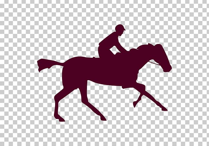 Horse Photography Photographer English Riding Film PNG, Clipart, Animals, Animated Film, Animator, Bridle, Film Free PNG Download
