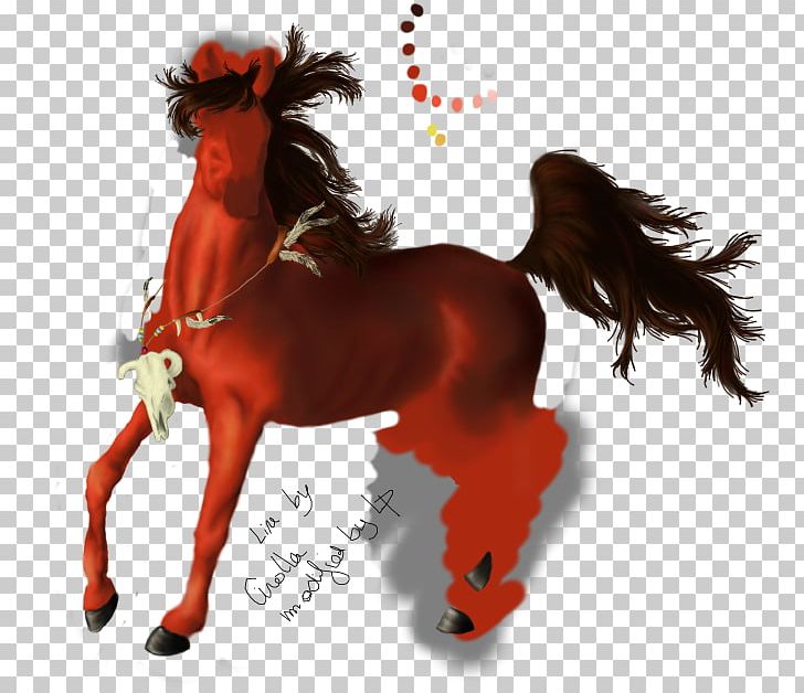 Mustang Stallion Halter Bridle Pack Animal PNG, Clipart,  Free PNG Download