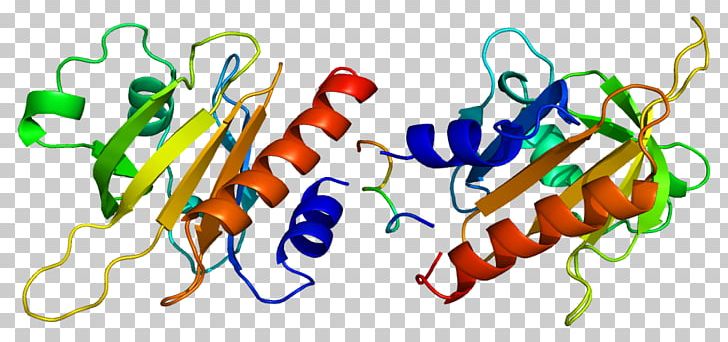 Profilin 1 Actin Protein Structure PNG, Clipart, Actin, Art, Artwork, Awi, Chemical Structure Free PNG Download