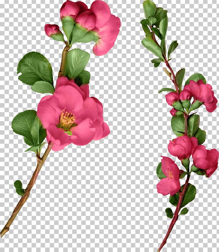Artificial Flower PNG, Clipart, Artificial Flower, Blossom, Branch, Bud, Cut Flowers Free PNG Download