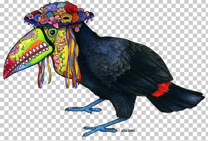 keel billed toucan drawing
