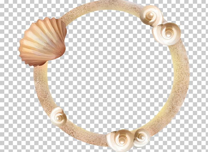 Bracelet Seashell PNG, Clipart, Animals, Armband, Bangle, Body Jewelry, Bracelet Free PNG Download