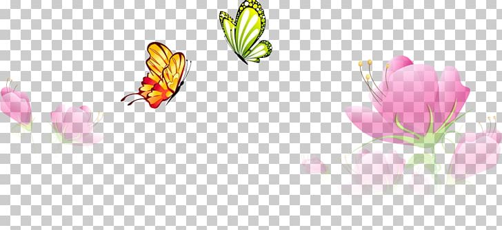 Butterfly Flower Euclidean PNG, Clipart, Beautiful, Butterflies And Moths, Butterfly, Butterfly Vector, Computer Wallpaper Free PNG Download