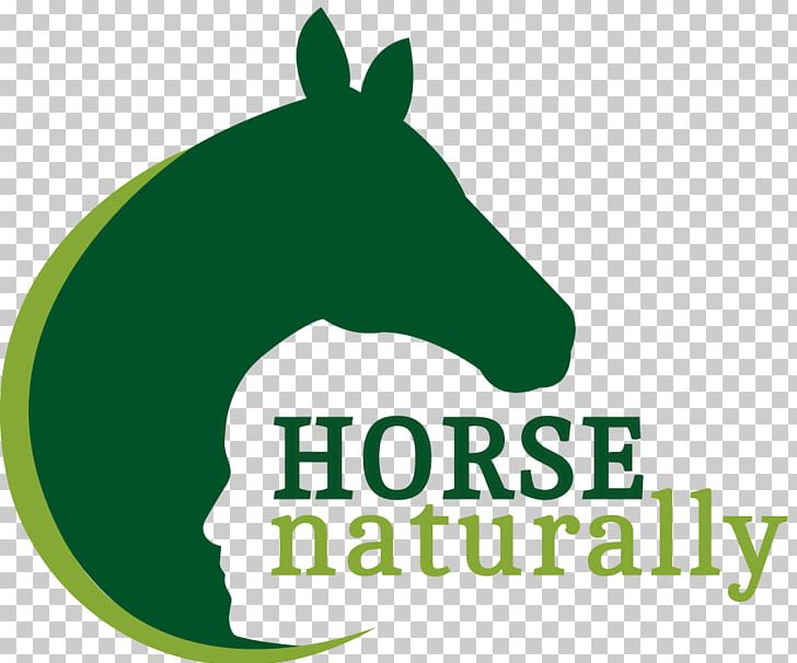 Horse Naturally Amazon.com Chinese Character Fast Finder: Simplified ...