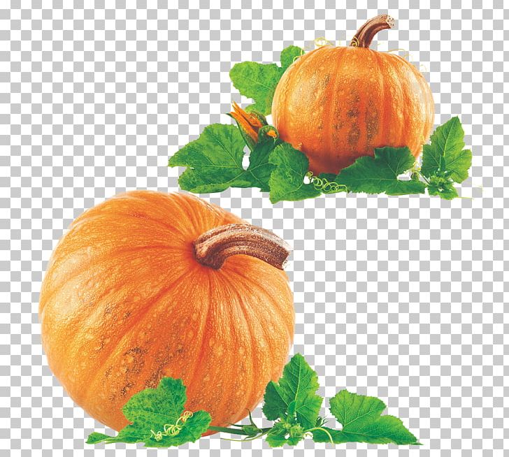 New Hampshire Pumpkin Festival Pumpkin Pie PNG, Clipart, Calabaza, Commodity, Cucumber, Food, Fruit Free PNG Download