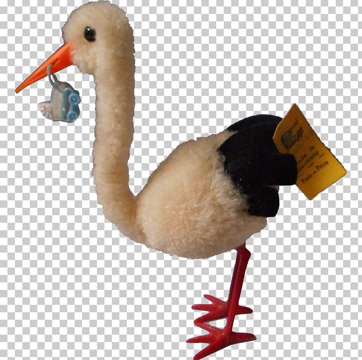 Water Bird Goose Cygnini Anatidae PNG, Clipart, Anatidae, Animals, Beak, Bird, Ciconiiformes Free PNG Download