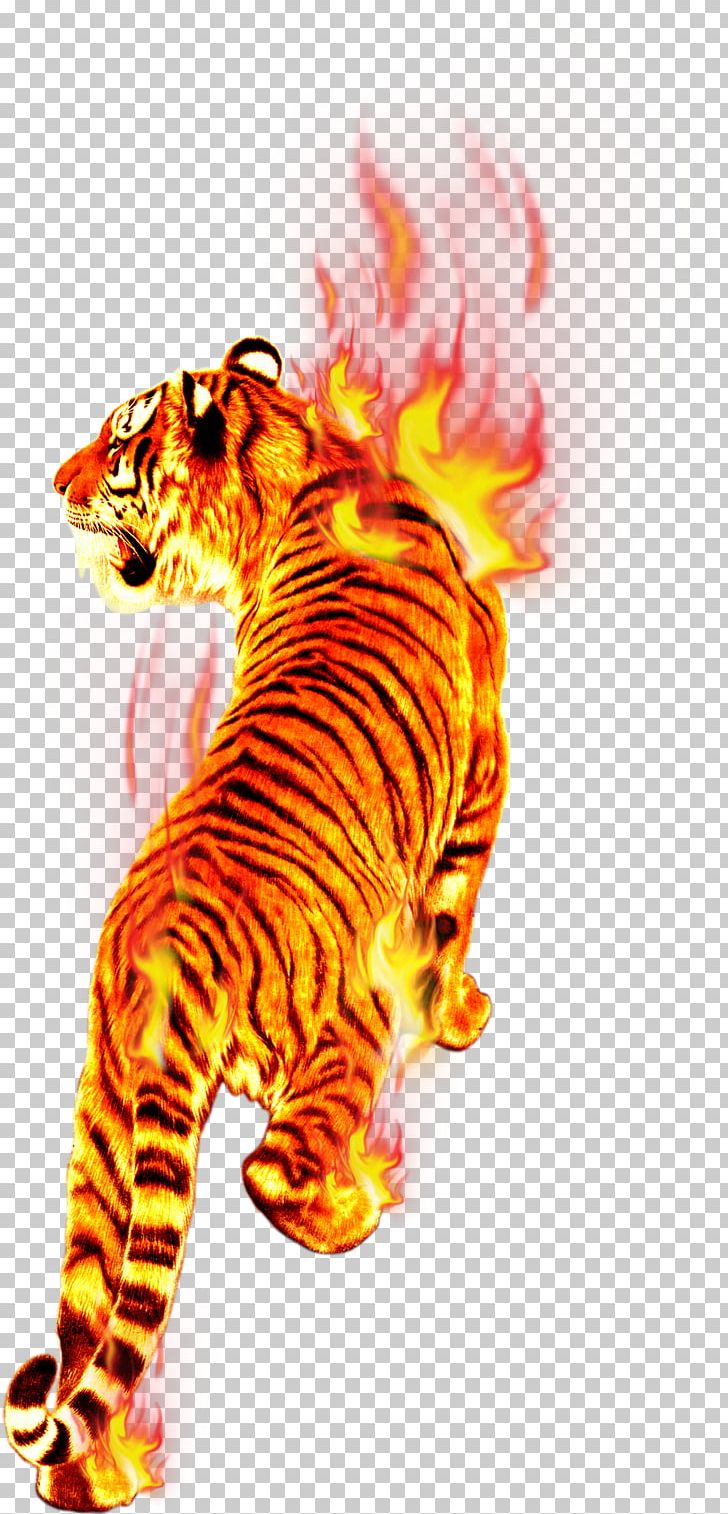 Flame Fire Tiger Combustion PNG, Clipart, Art, Big Cats, Burning, Carbon Fire, Carnivora Free PNG Download