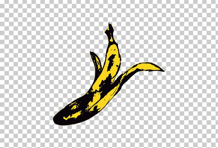 Food Tail Royaltyfree PNG, Clipart, Banana, Banana Family, Beak, Blog, Falling Down Free PNG Download