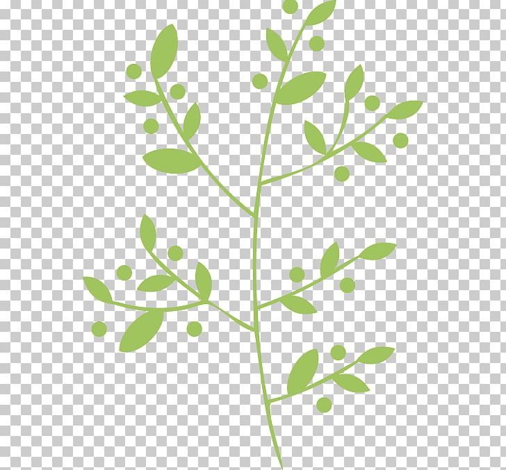 Twig Plant Stem Leaf Gift Tags & Labels PNG, Clipart, Branch, Flora, Flower, Flowering Plant, Gift Free PNG Download