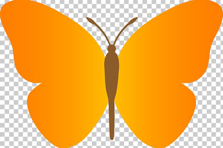 Butterfly PNG, Clipart, Animation, Arthropod, Blog, Brush Footed Butterfly, Butterfly Free PNG Download