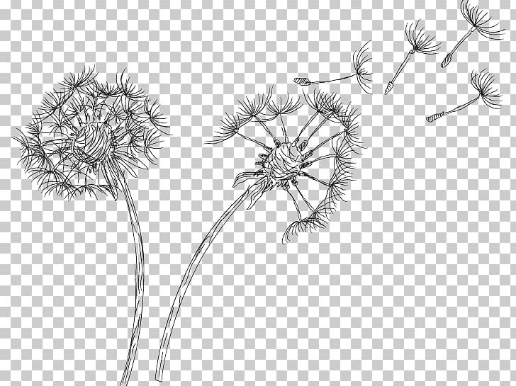 Drawing Common Dandelion PNG, Clipart, Artwork, Black And White, Branch, Clip Art, Common Dandelion Free PNG Download