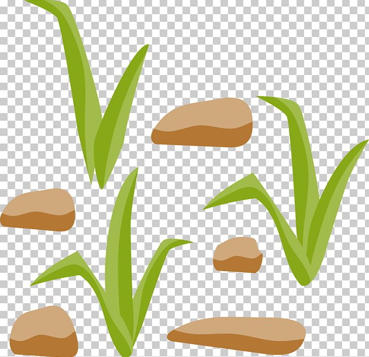 Others Plant Stem Grass PNG, Clipart, Commodity, Computer Icons, Download, Flower, Grass Free PNG Download