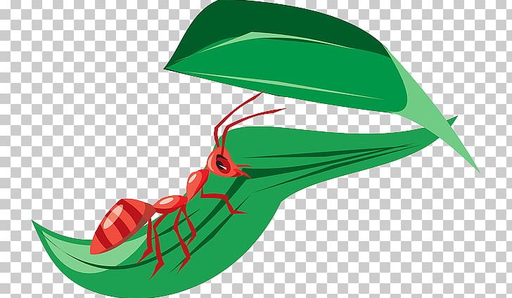Student Ant PNG, Clipart, Ant, Computer Icons, Download, Green, Leaf Free PNG Download