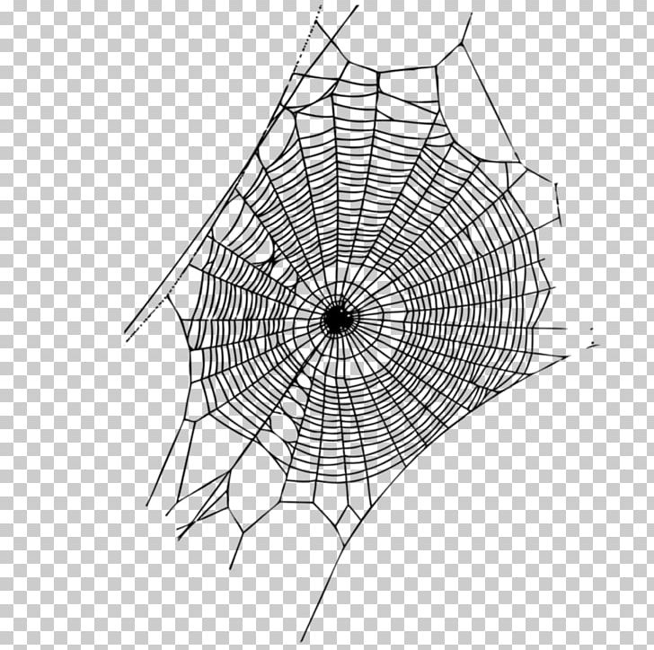Spider Web Spider Silk Web Page PNG, Clipart, Angle, Arachnid, Area, Black And White, Circle Free PNG Download