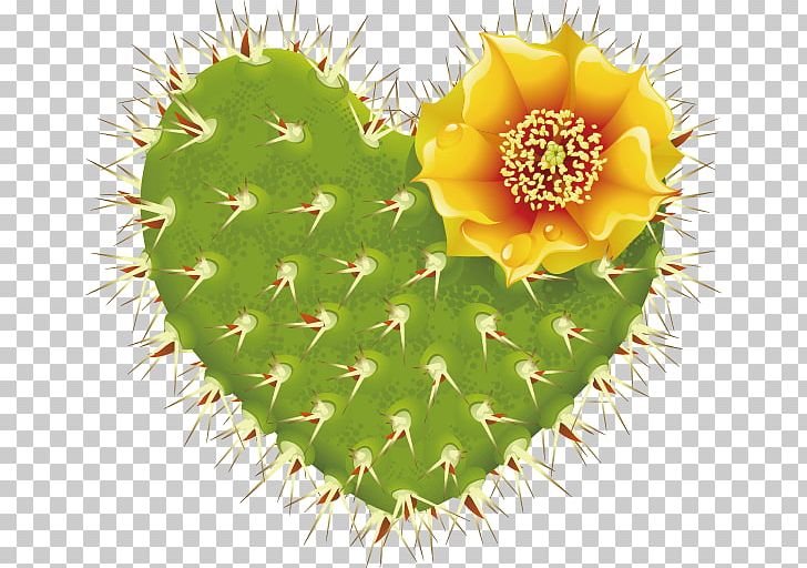 Barbary Fig Cactaceae Thorns PNG, Clipart, Broken Heart, Cactus, Cactus Vector, Caryophyllales, Desert Free PNG Download