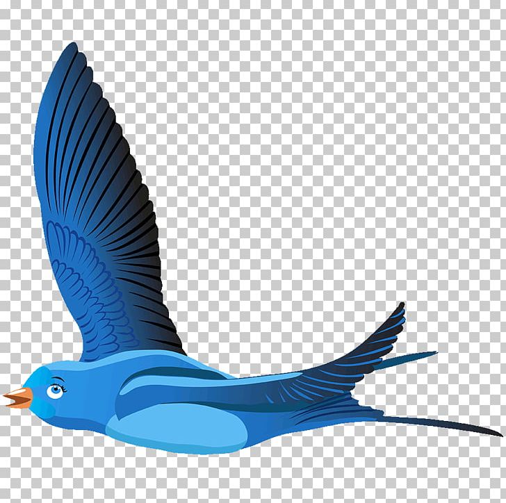 Bird Portable Network Graphics Transparency PNG, Clipart, Animals, Art, Beak, Bird, Bluebirds Free PNG Download