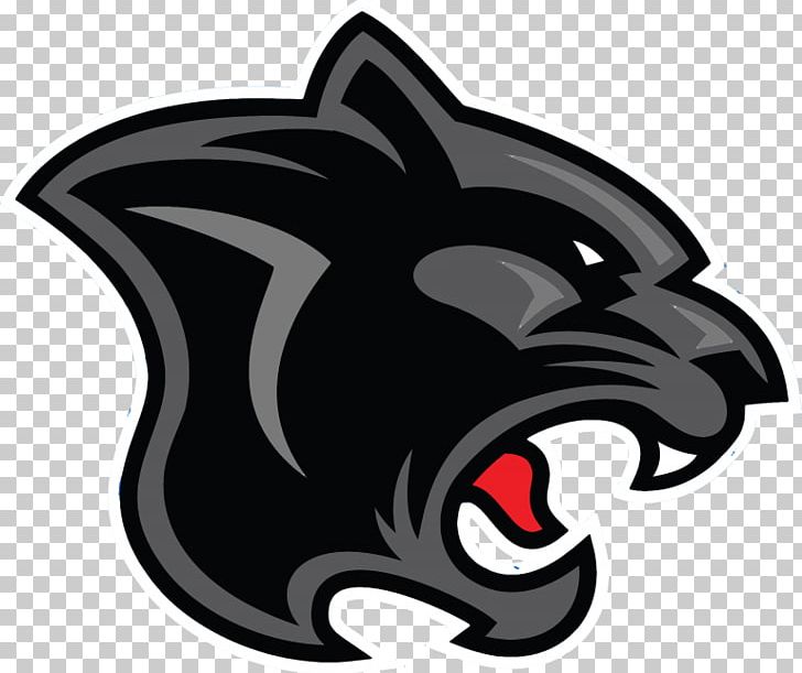 Carolina Panthers Panmure RFC Leopard Chapel District Elementary School PNG, Clipart, Animals, Black, Carnivoran, Carolina Panthers, Cat Free PNG Download