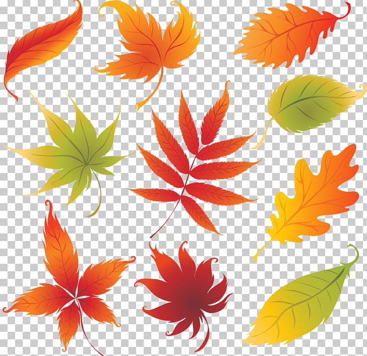 Drawing Autumn Leaf Color PNG, Clipart, Art, Autumn, Autumn Leaf Color, Color, Drawing Free PNG Download