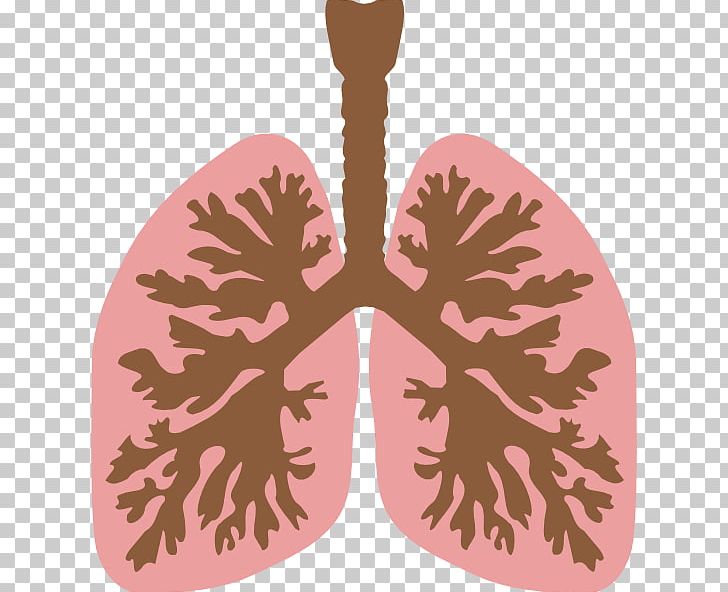 Lung Bronchus Human Body PNG, Clipart, Breathing, Bronchus, Clip Art, Heart, Human Body Free PNG Download