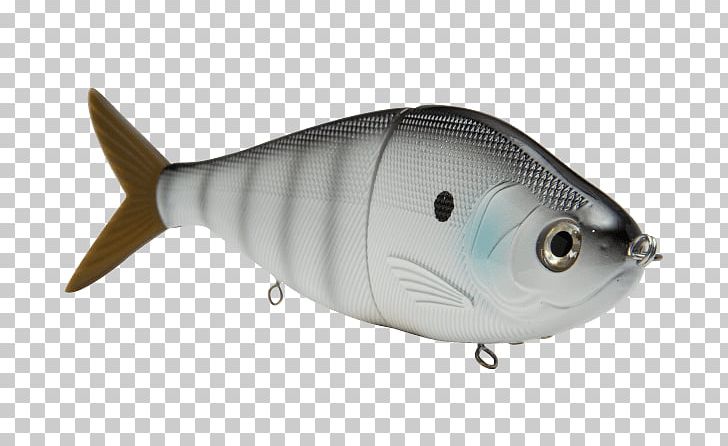 Milkfish Spoon Lure Fishing Baits & Lures Livingston Lures PNG, Clipart, Bait, Bony Fish, Fish, Fishing Bait, Fishing Baits Lures Free PNG Download