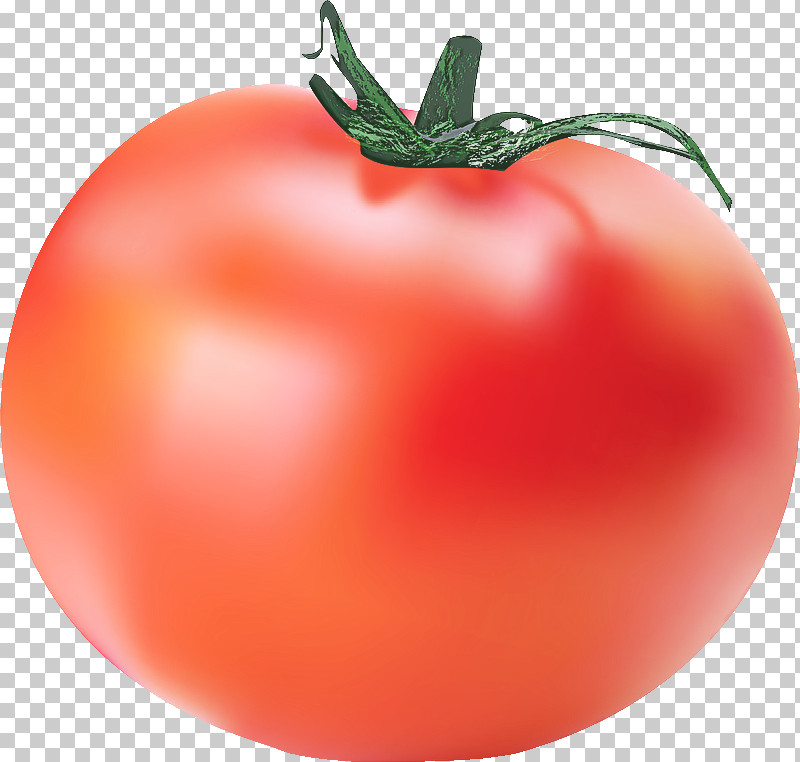 Tomato PNG, Clipart, Biology, Bush Tomato, Datterino Tomato, Local Food, Natural Food Free PNG Download