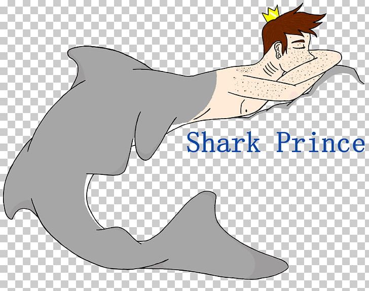 Dolphin Requiem Shark Porpoise Cetacea PNG, Clipart, Animals, Carnivora, Carnivoran, Cartilaginous Fish, Cartoon Free PNG Download