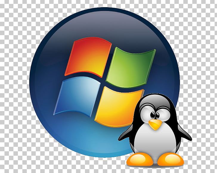 Windows 7 Microsoft Windows XP Windows Vista PNG, Clipart, Beak, Bird, Computer, Computer Icons, Computer Software Free PNG Download