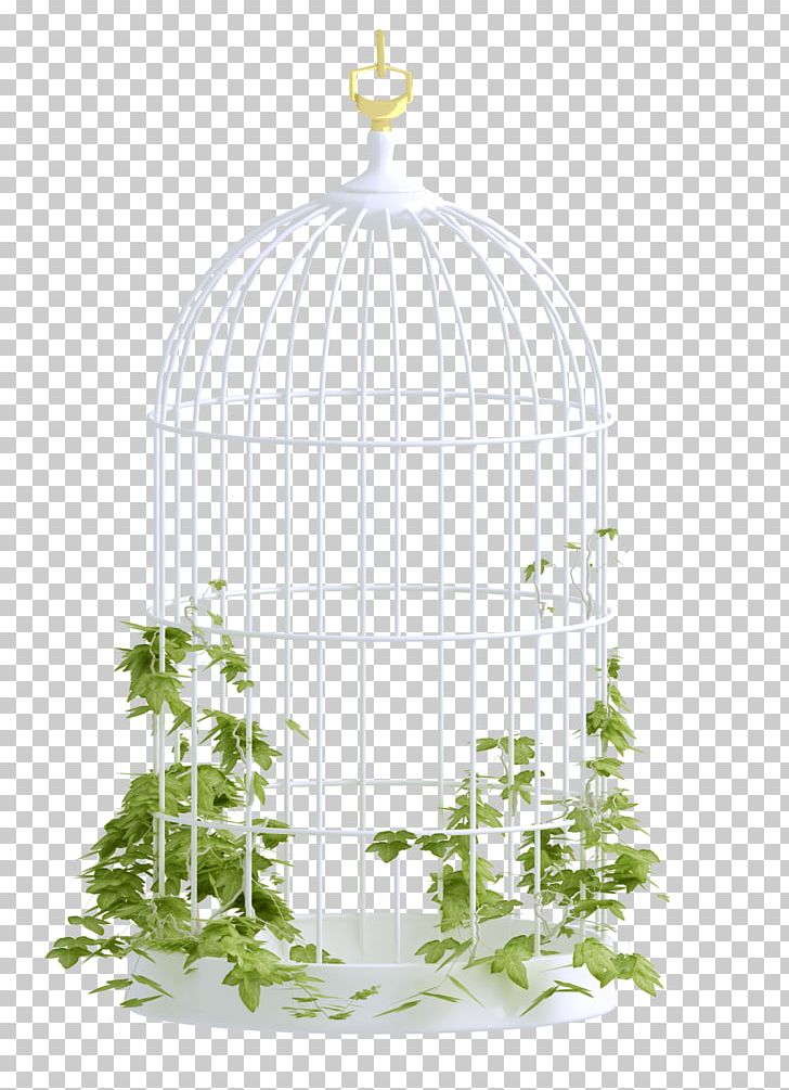 Birdcage PNG, Clipart, Albom, Animals, Bird, Birdcage, Cage Free PNG Download