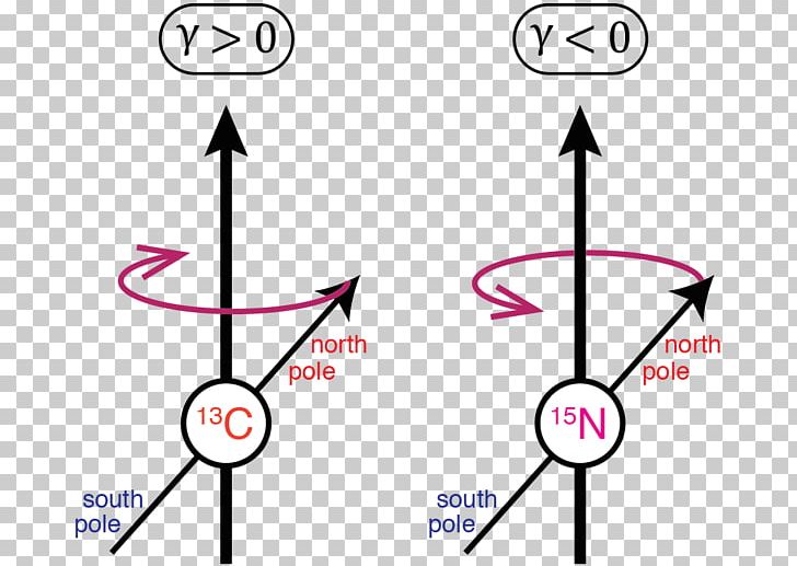 Gyromagnetic Ratio Nuclear Magnetic Resonance Spectroscopy Insensitive Nuclei Enhanced By Polarization Transfer PNG, Clipart, Angle, Area, Circle, Diagram, Graphic Design Free PNG Download