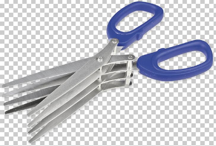 Scissors Worm Carp Knife Angling PNG, Clipart, Angling, Blade, Carp, Chop Stick, Fishing Bait Free PNG Download