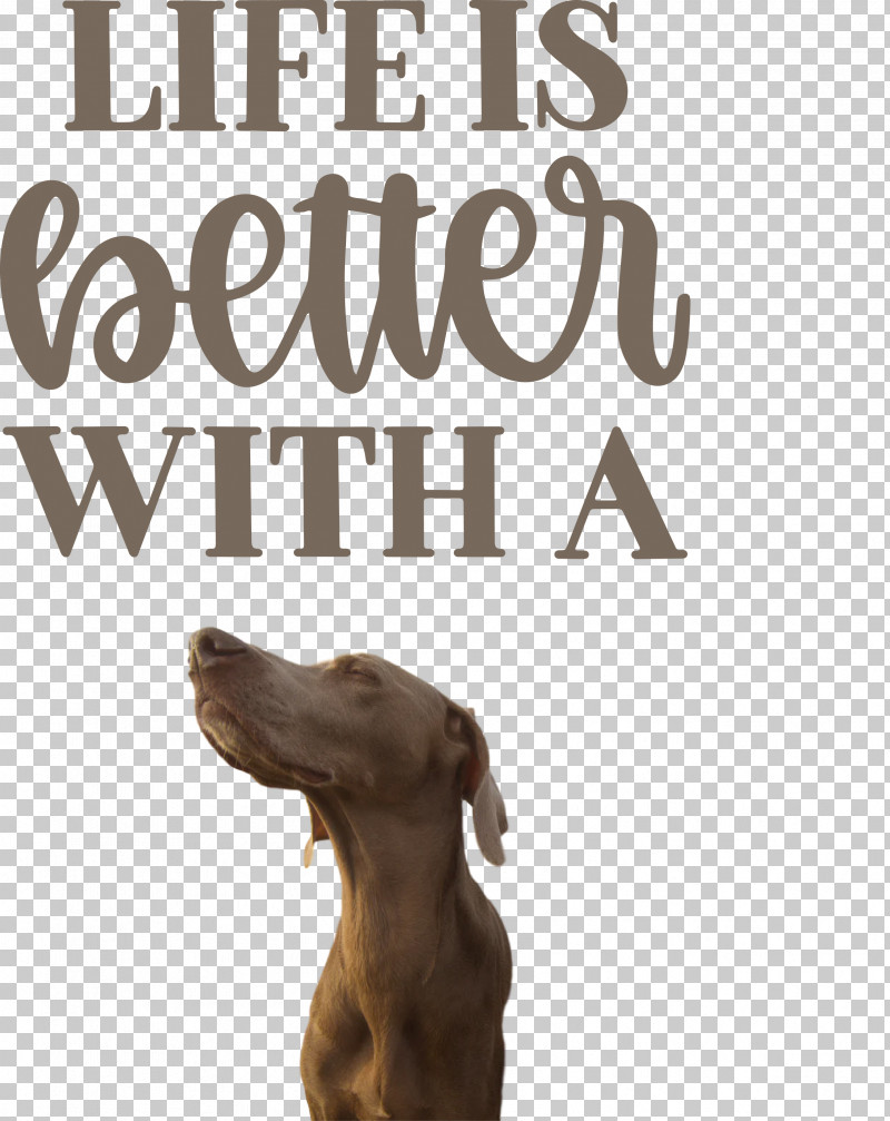 Life Better PNG, Clipart, Better, Biology, Dog, Insurance, Life Free PNG Download