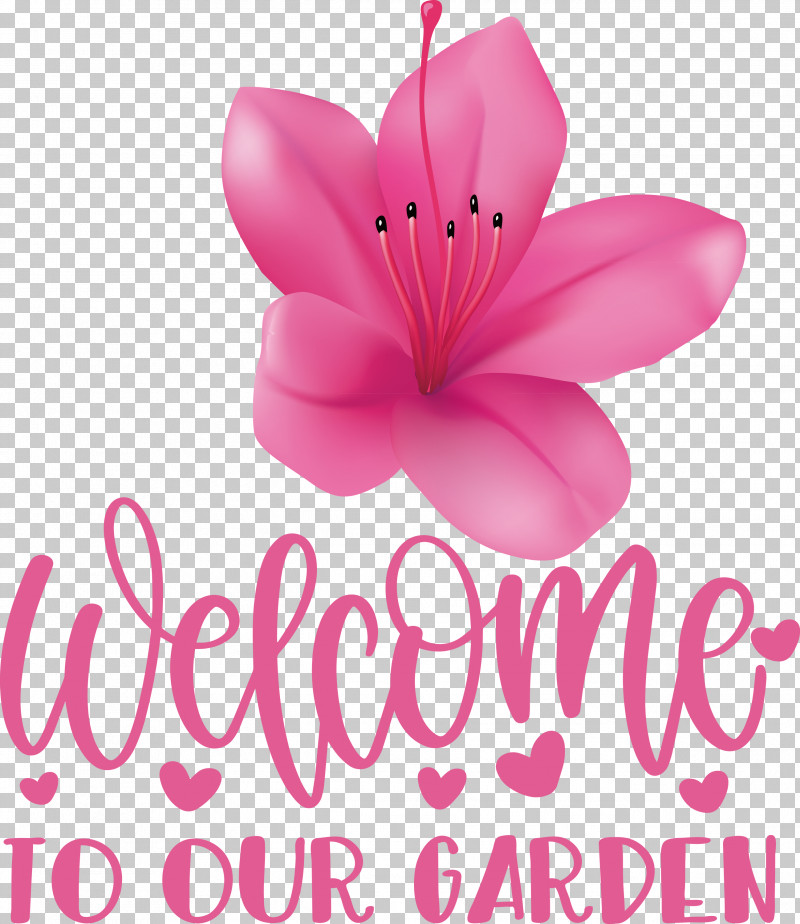 Garden Flower Floral PNG, Clipart, Biology, Cut Flowers, Floral, Flower, Garden Free PNG Download