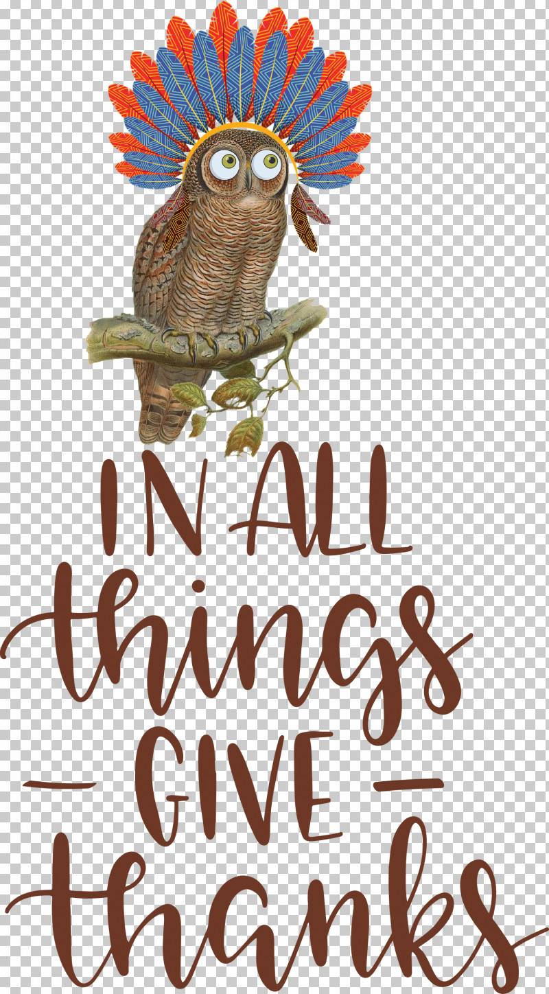 Give Thanks Thanksgiving PNG, Clipart, Beak, Biology, Bird Of Prey, Birds, Give Thanks Free PNG Download