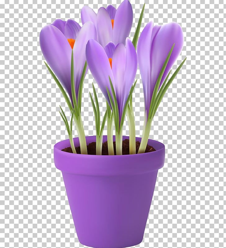 Flowerpot Stock Photography PNG, Clipart, Clip Art, Crocus, Cut Flowers, Flower, Flowering Plant Free PNG Download