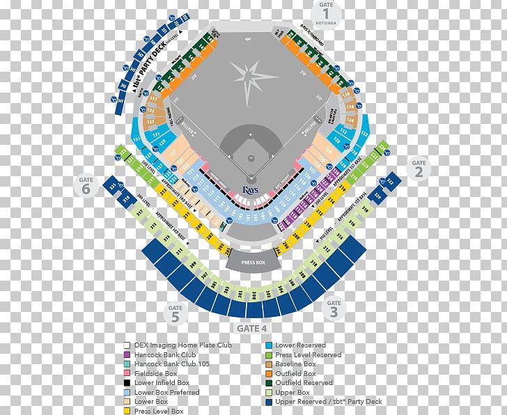 Tampa Bay Rowdies Stadium Seating Chart