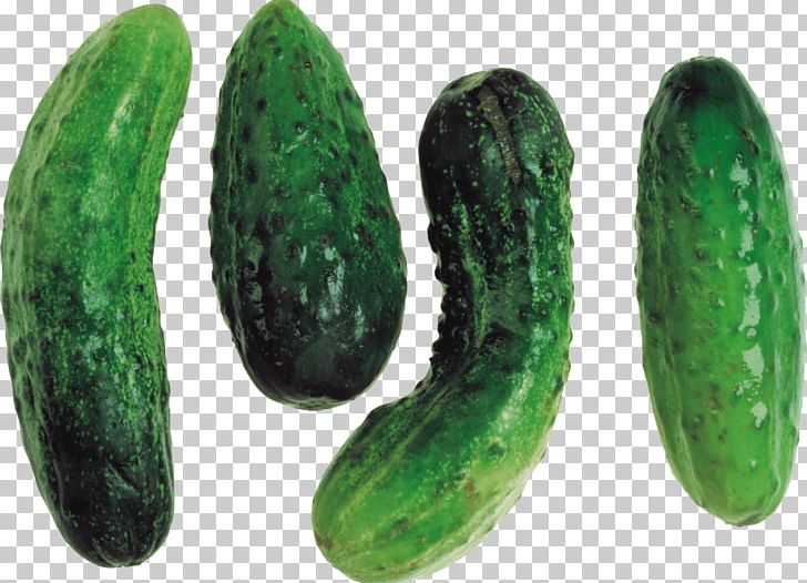 Cucumber PNG, Clipart, Abgoals, Cucumber Gourd And Melon Family, Cucumis, Digital Image, Download Free PNG Download