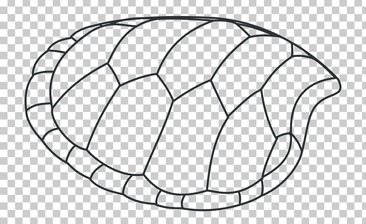 Turtle Shell Drawing Tortoise PNG, Clipart, Angle, Animal, Ball, Black And White, Circle Free PNG Download