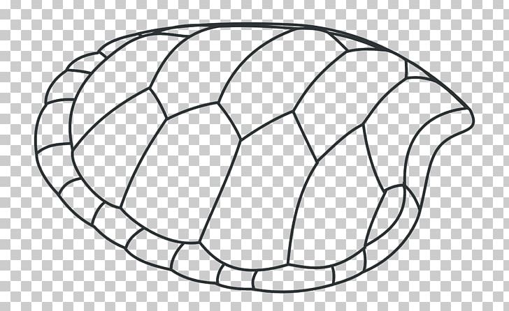 Turtle Shell Outline, Silhouette & Color Clipart