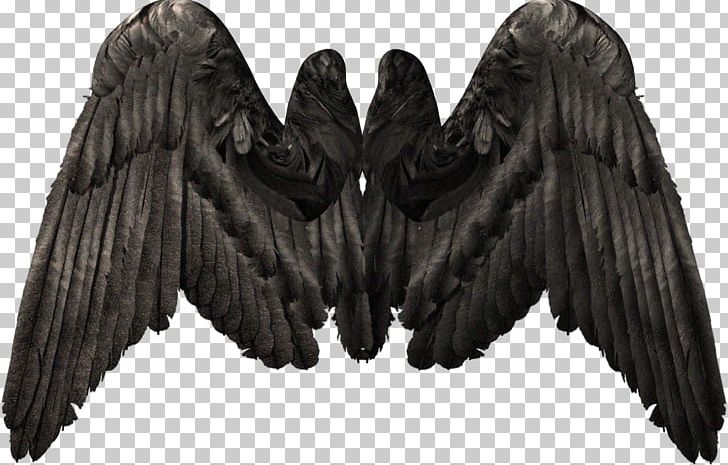 Wing Photography PNG, Clipart, Angels Wings, Angel Wing, Angel Wings, Black, Black And White Free PNG Download