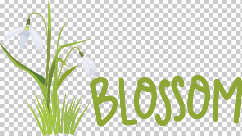 Plant Stem Flower Grasses Font Herbal Medicine PNG, Clipart, Flower, Grasses, Herb, Herbal Medicine, Logo Free PNG Download