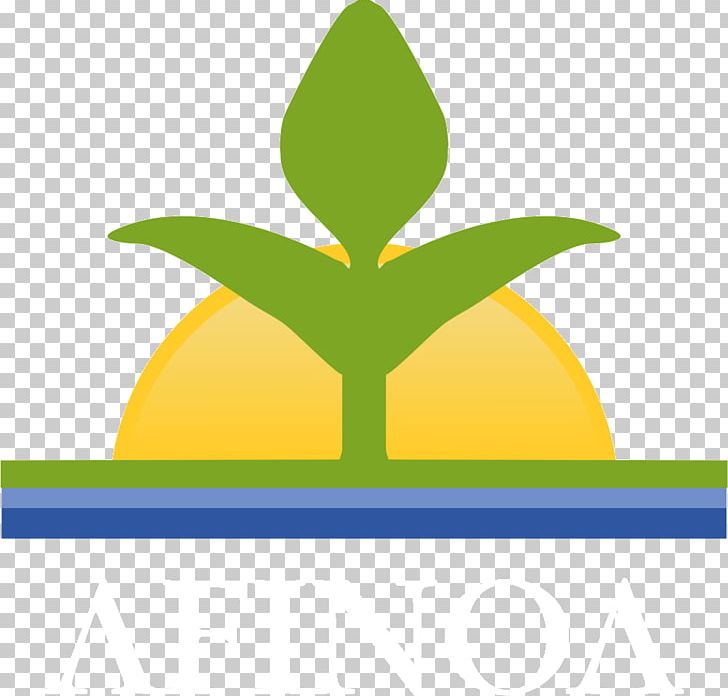 Afinoa Citrus Greening Disease Lemon System PNG, Clipart, Business Administration, Citrus, Citrus Greening Disease, Disease, Fruit Nut Free PNG Download