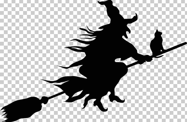 Broom Witchcraft Wall Decal PNG, Clipart, Animals, Artwork, Beak, Bird, Black Free PNG Download